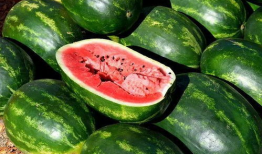 吃瓜娱乐圈图画高清,高清图鉴揭秘明星幕后生活